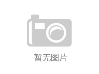 2026年散料皮带秤行业应用选型白皮书